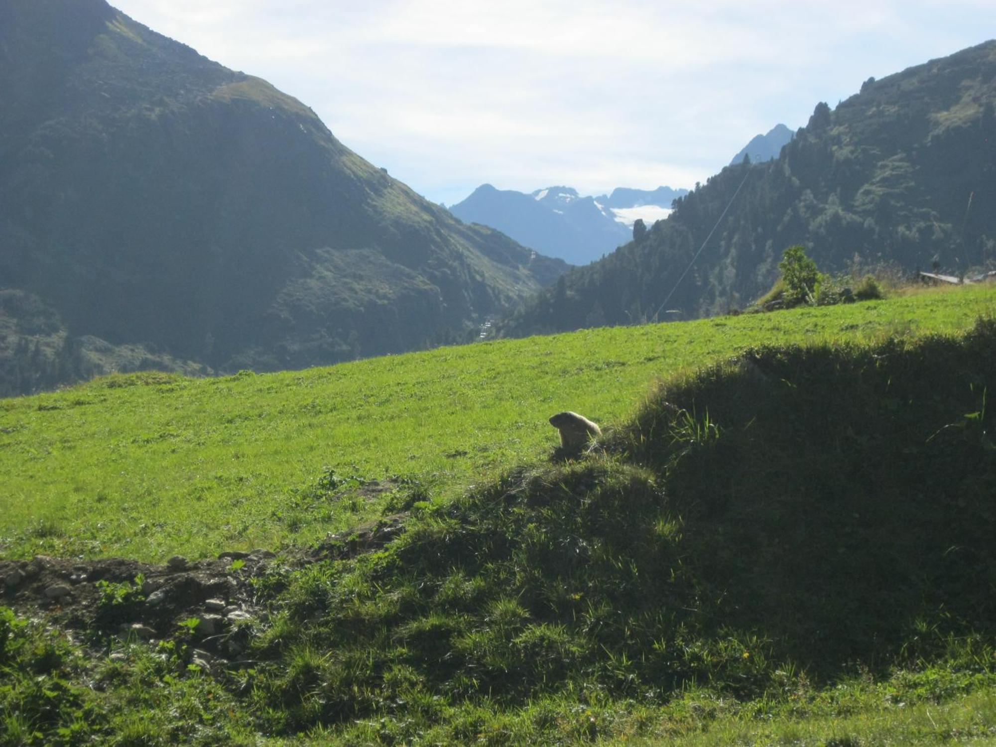 Stubai Holiday home